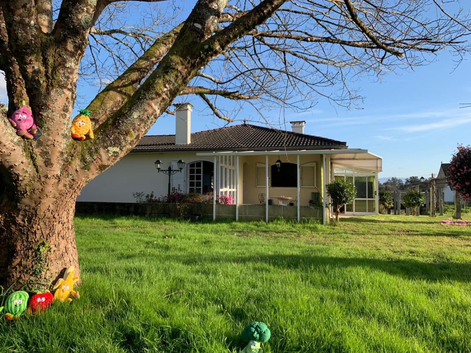 La Maison D'Abelleira Ponteareas Buitenkant foto