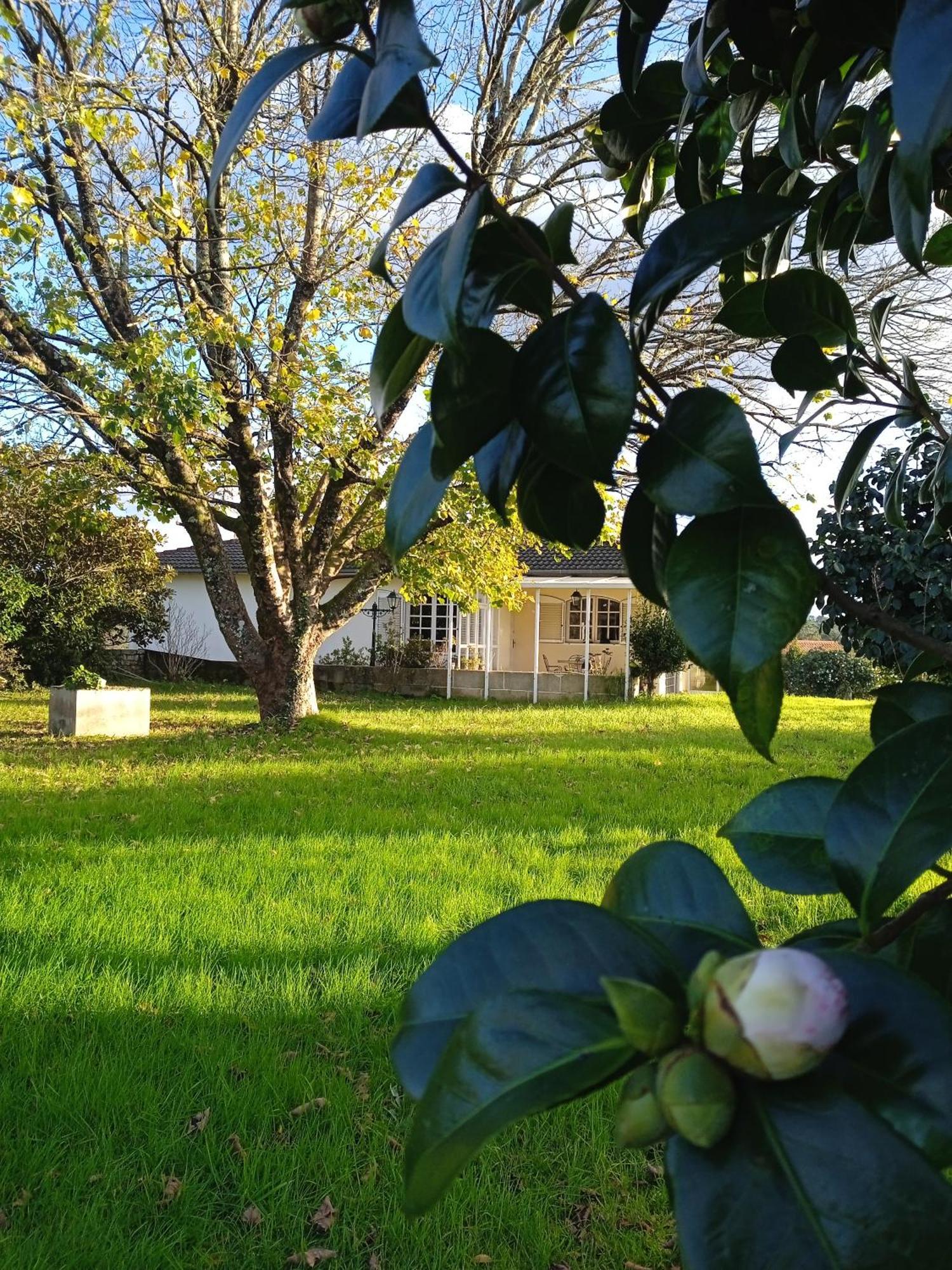 La Maison D'Abelleira Ponteareas Buitenkant foto